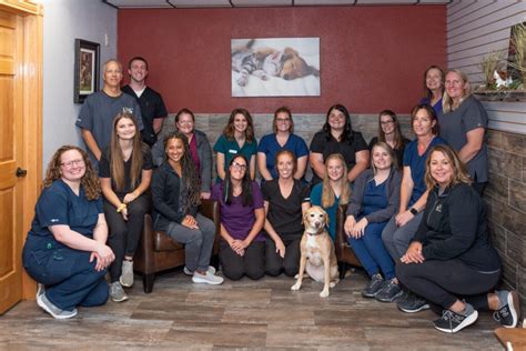 village vet lewiston|lewiston vet clinic lewiston mn.